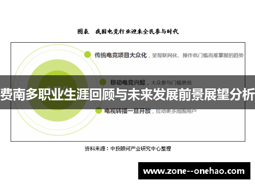 费南多职业生涯回顾与未来发展前景展望分析 费南多职业生涯回顾与未来发展前景展望分析