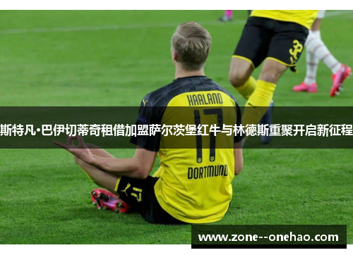 斯特凡·巴伊切蒂奇租借加盟萨尔茨堡红牛与林德斯重聚开启新征程