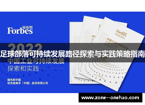 足球部落可持续发展路径探索与实践策略指南 足球部落可持续发展路径探索与实践策略指南